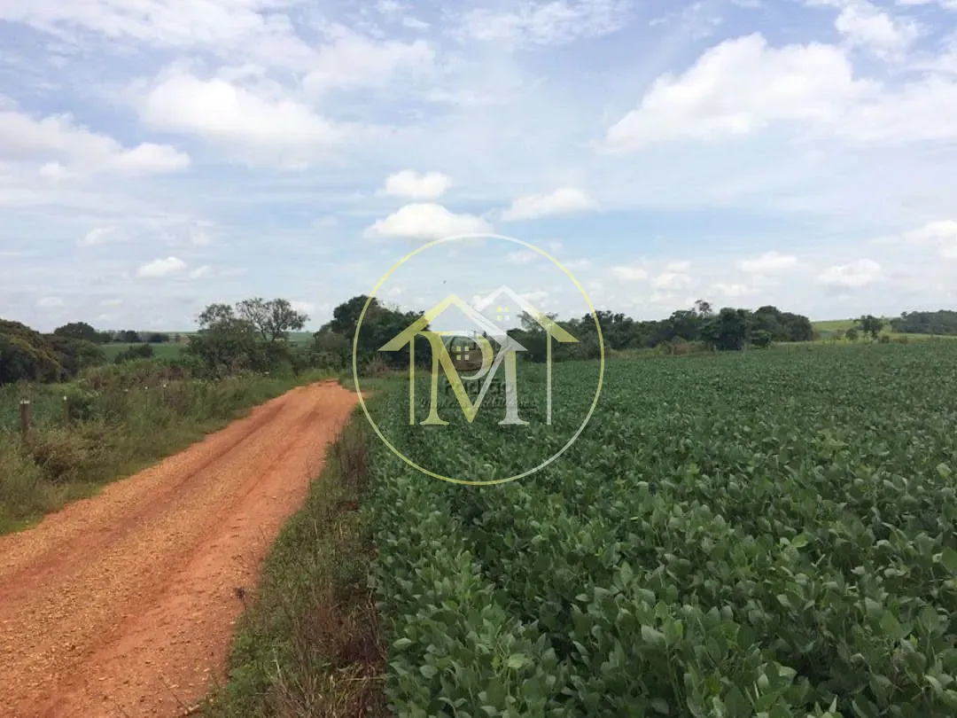 Fazenda, 94 hectares - Foto 9