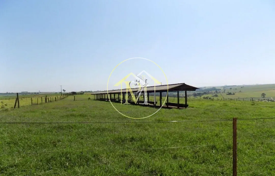 Fazenda, 94 hectares - Foto 21