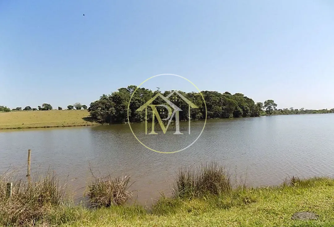 Fazenda, 94 hectares - Foto 7