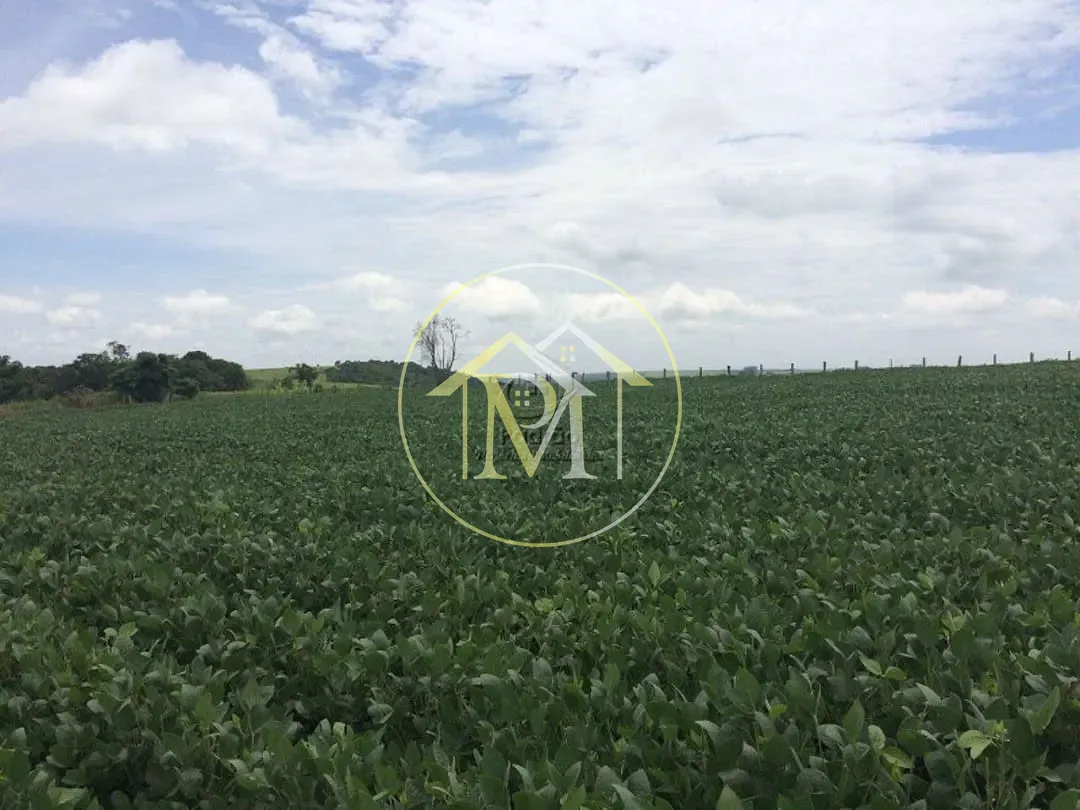 Fazenda, 94 hectares - Foto 15