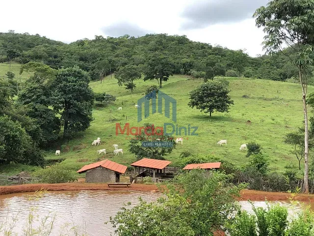 Fazenda à venda, no bairro Santa Cruz em Santa Cruz de Goiás