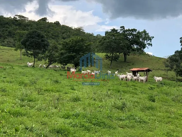 Fazenda à venda, no bairro Santa Cruz em Santa Cruz de Goiás