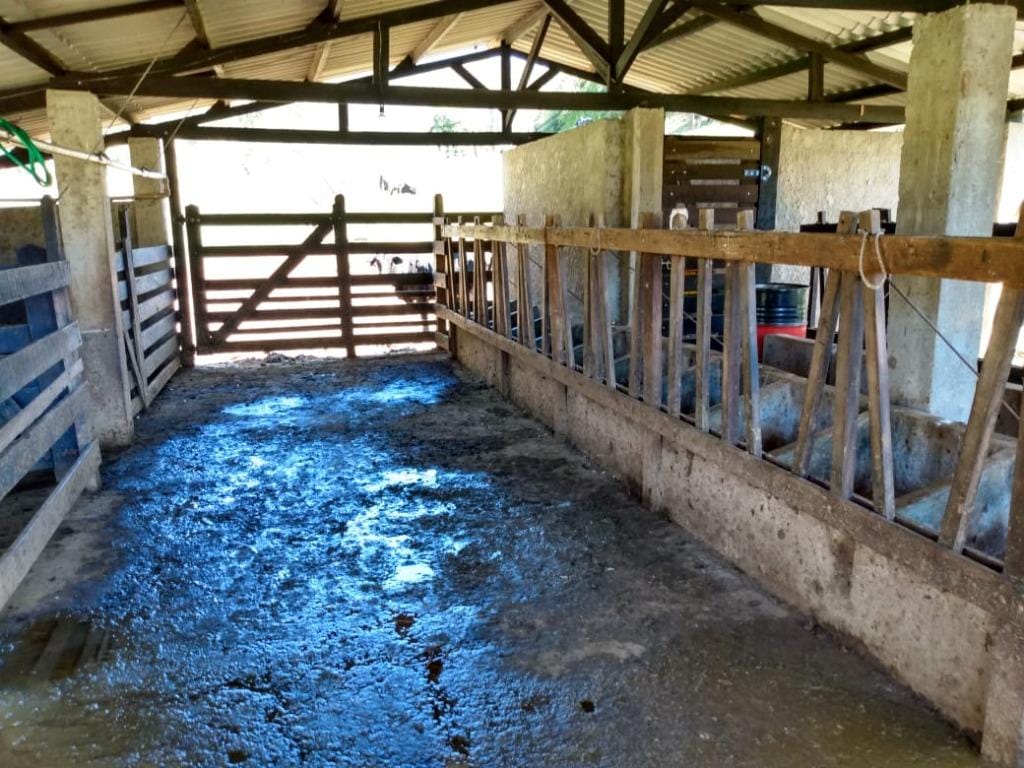 Rural / Chácara no Farias — foto 17