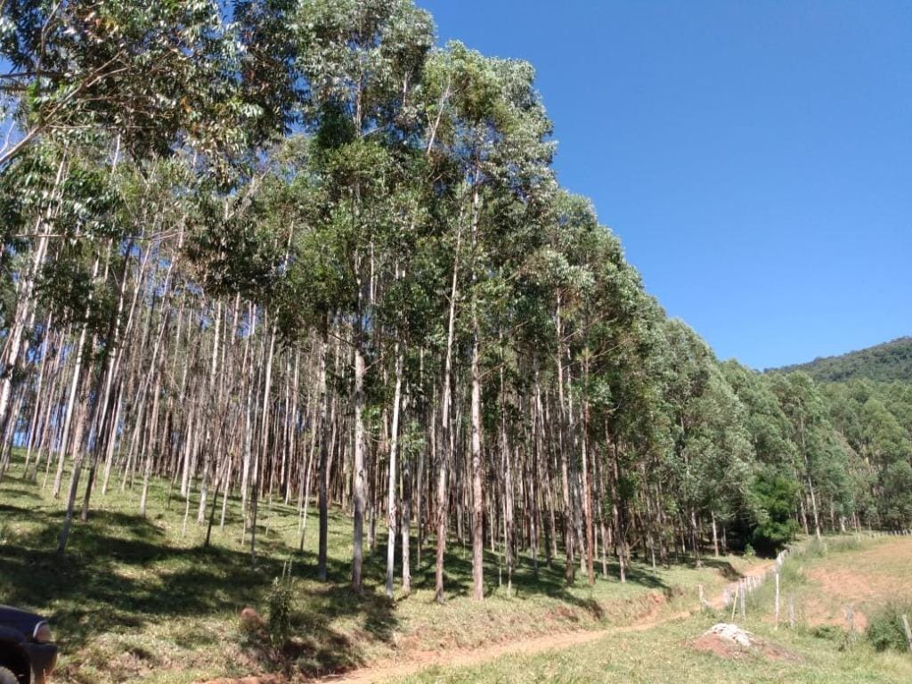 Rural / Chácara no Farias — foto 5
