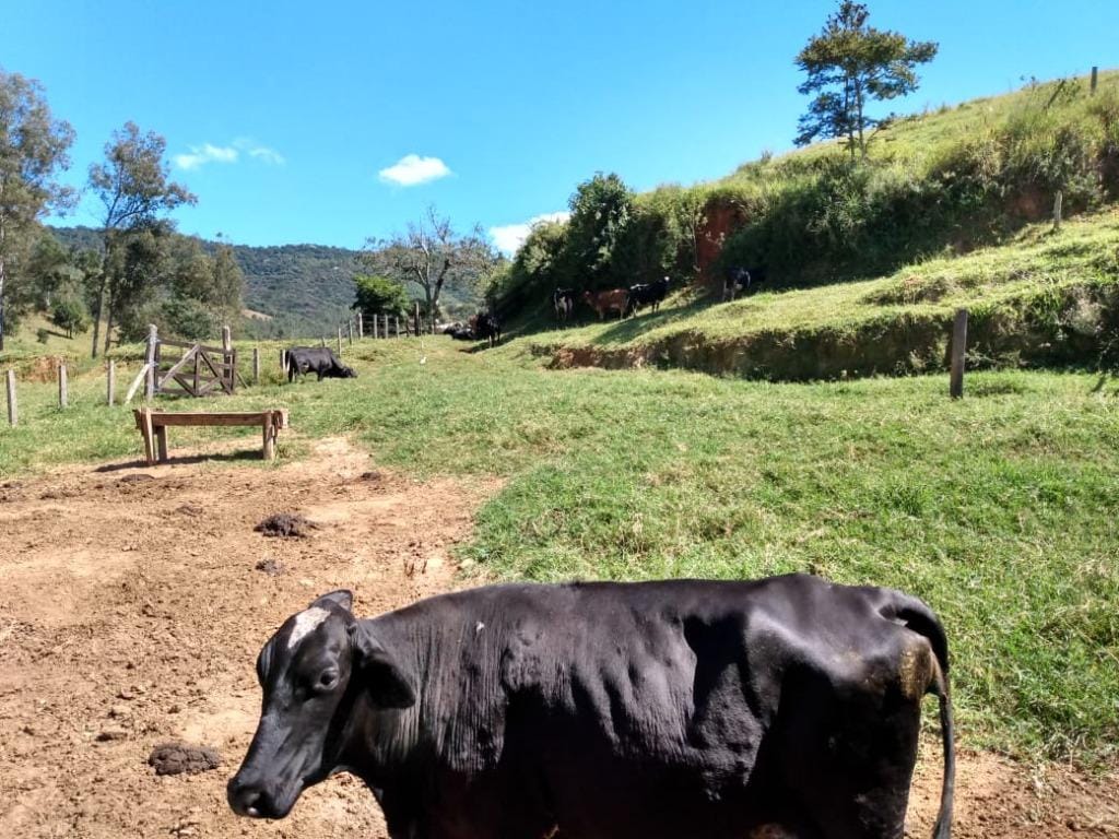Rural / Chácara no Farias — foto 10