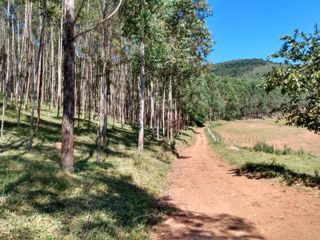 Rural / Chácara no Farias — foto 31