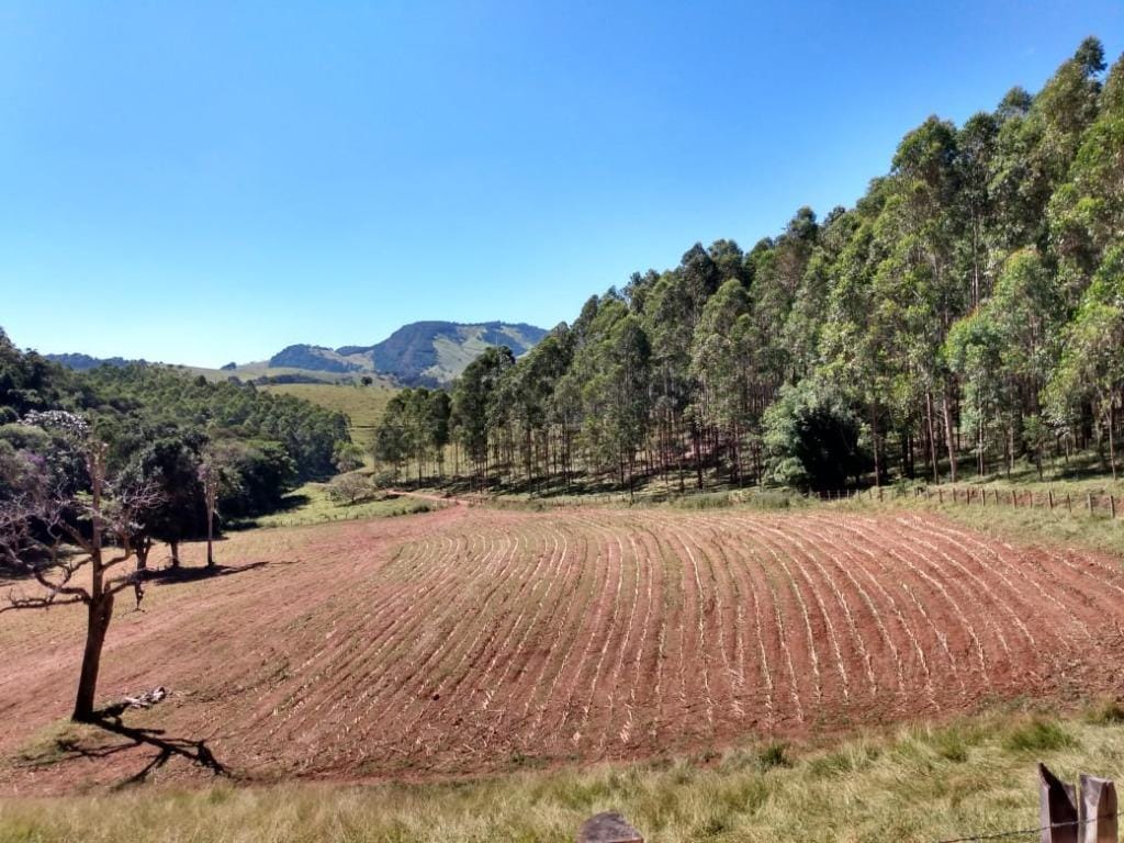 Rural / Chácara no Farias — foto 18