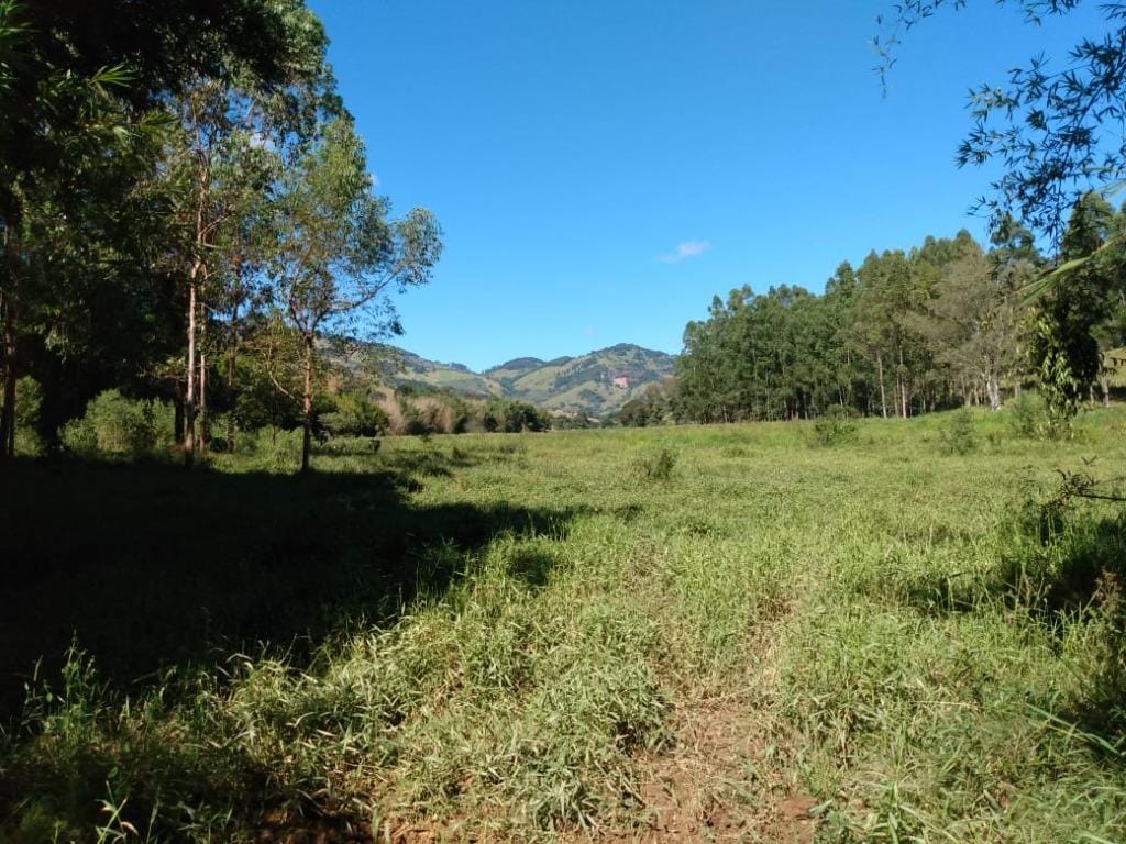 Rural / Chácara no Farias — foto 11