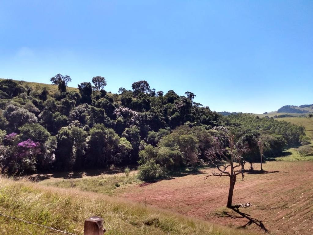 Rural / Chácara no Farias — foto 22