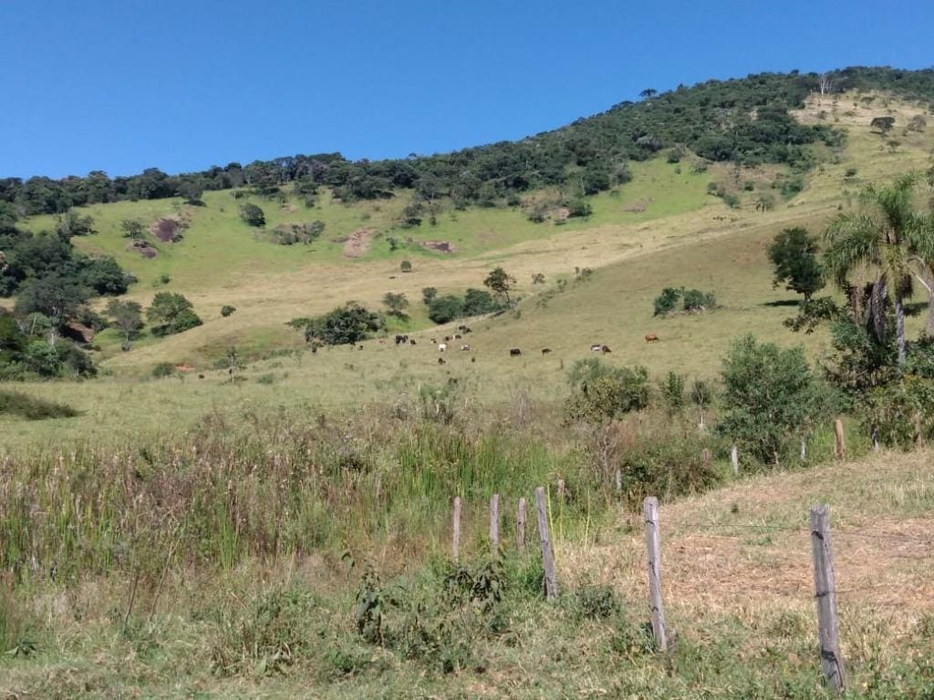 Rural / Chácara no Farias — foto 6