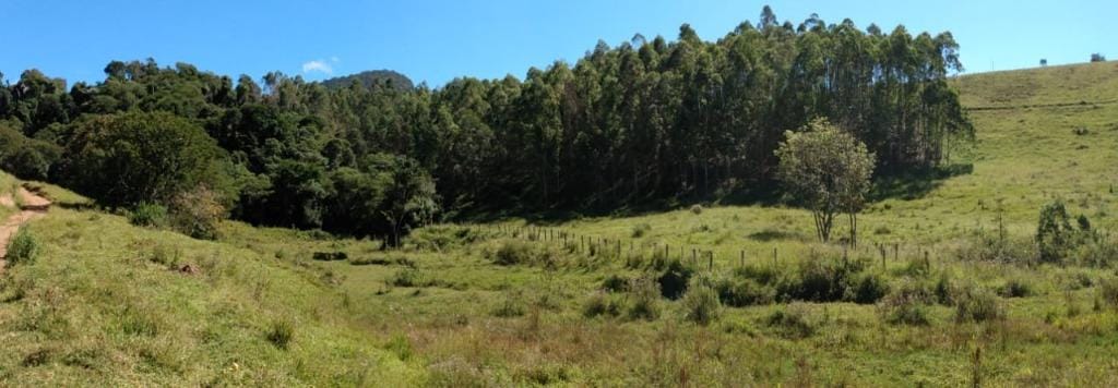 Rural / Chácara no Farias — foto 28