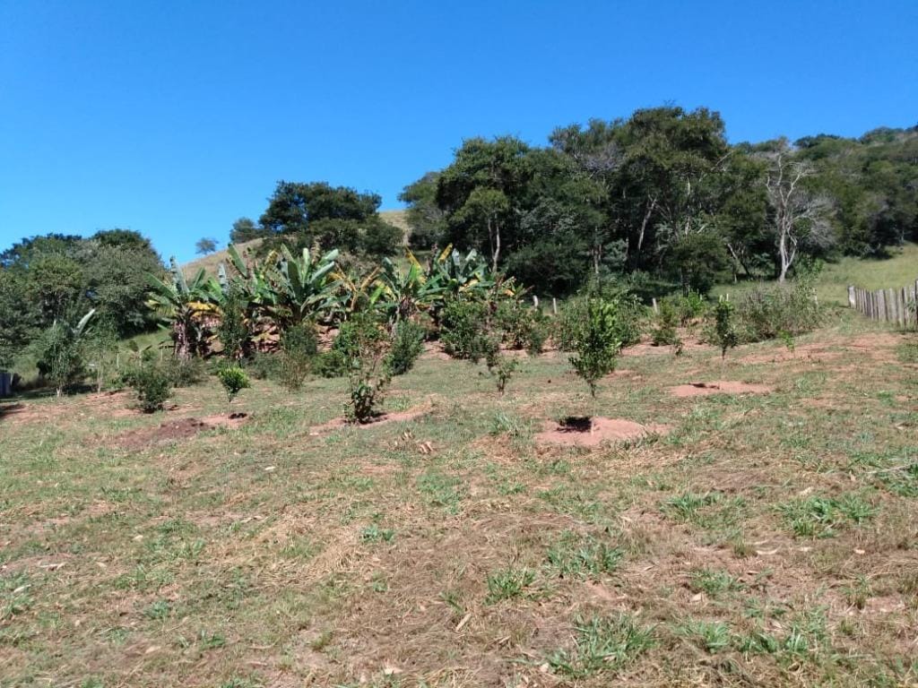 Rural / Chácara no Farias — foto 35