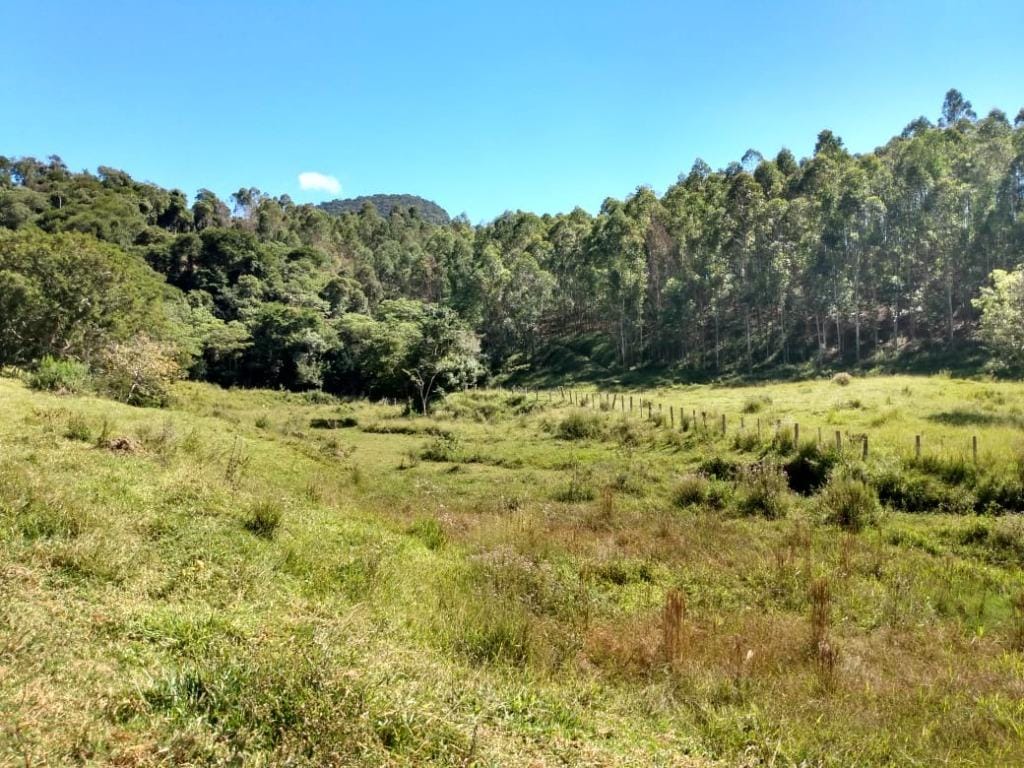 Rural / Chácara no Farias — foto 32
