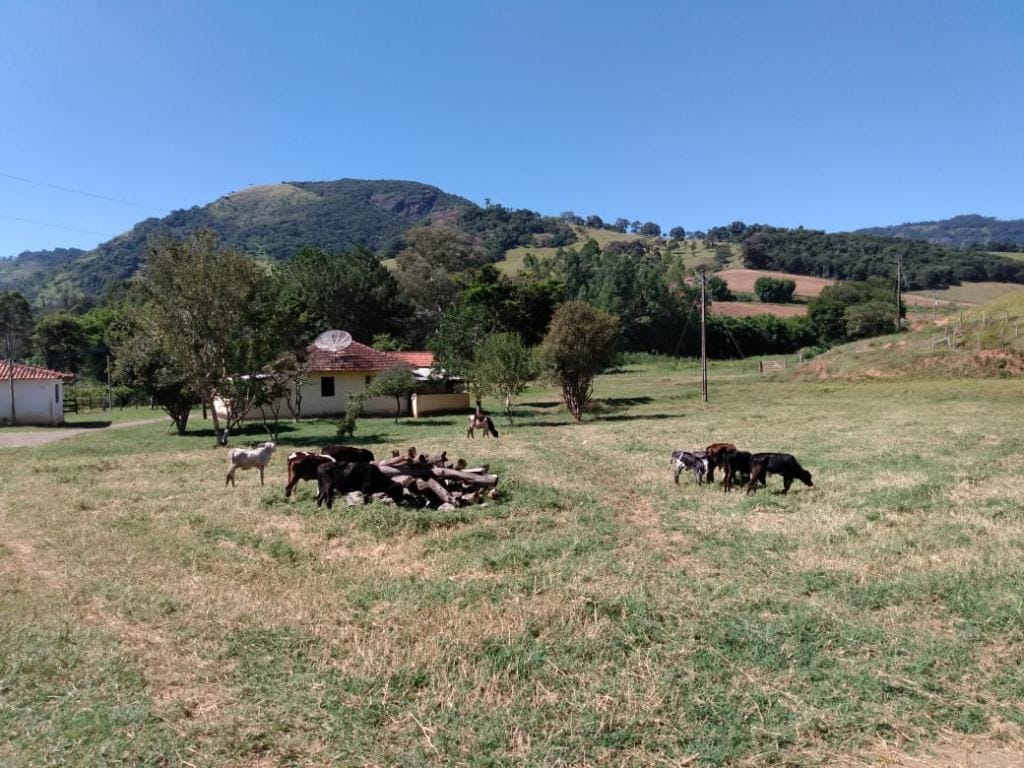 Rural / Chácara no Farias — foto 39
