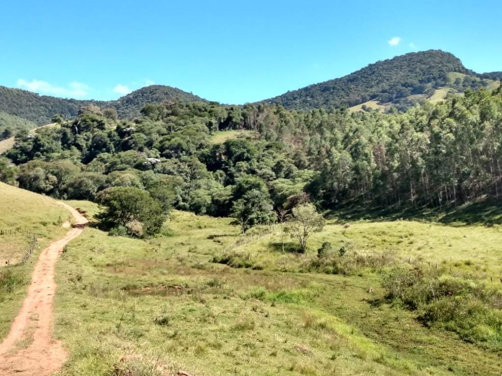 Rural / Chácara no Farias — foto 14
