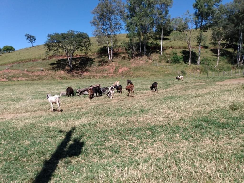 Rural / Chácara no Farias — foto 13