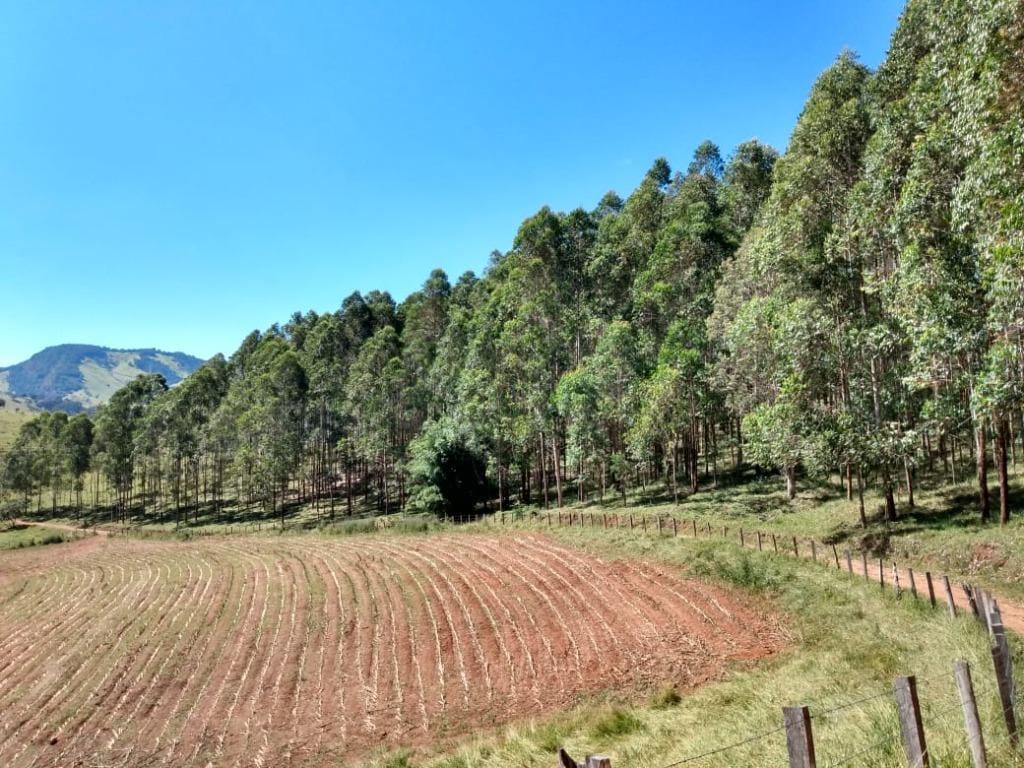 Chácara no Farias, Brazópolis