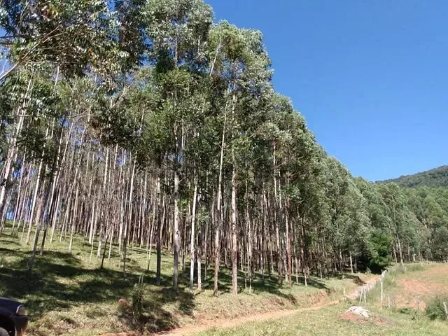 Fazenda com 774400m², à venda, no bairro Farias em Brazópolis
