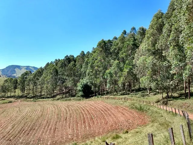 Fazenda com 774400m², à venda, no bairro Farias em Brazópolis