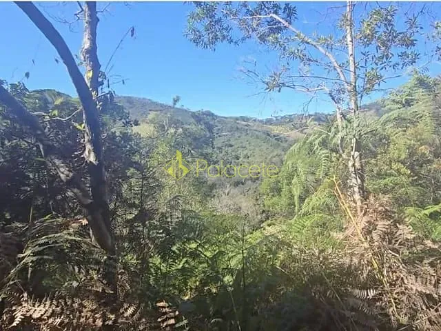 Fazenda com 89m² 10 quartos e 11 banheiros, à venda, no bairro Campo Alegre em Cunha