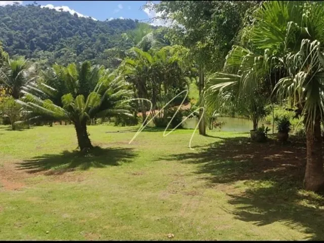 Fazenda com 620000m² 5 quartos e 2 banheiros, à venda, no bairro Ibirapitanga  em Camamu