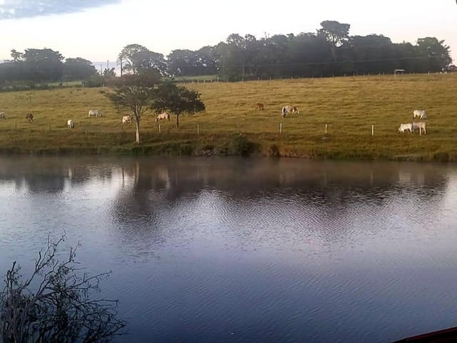 Fazenda com 250000m² 3 quartos e 1 banheiro, à venda, no bairro Aranhas em Brumadinho