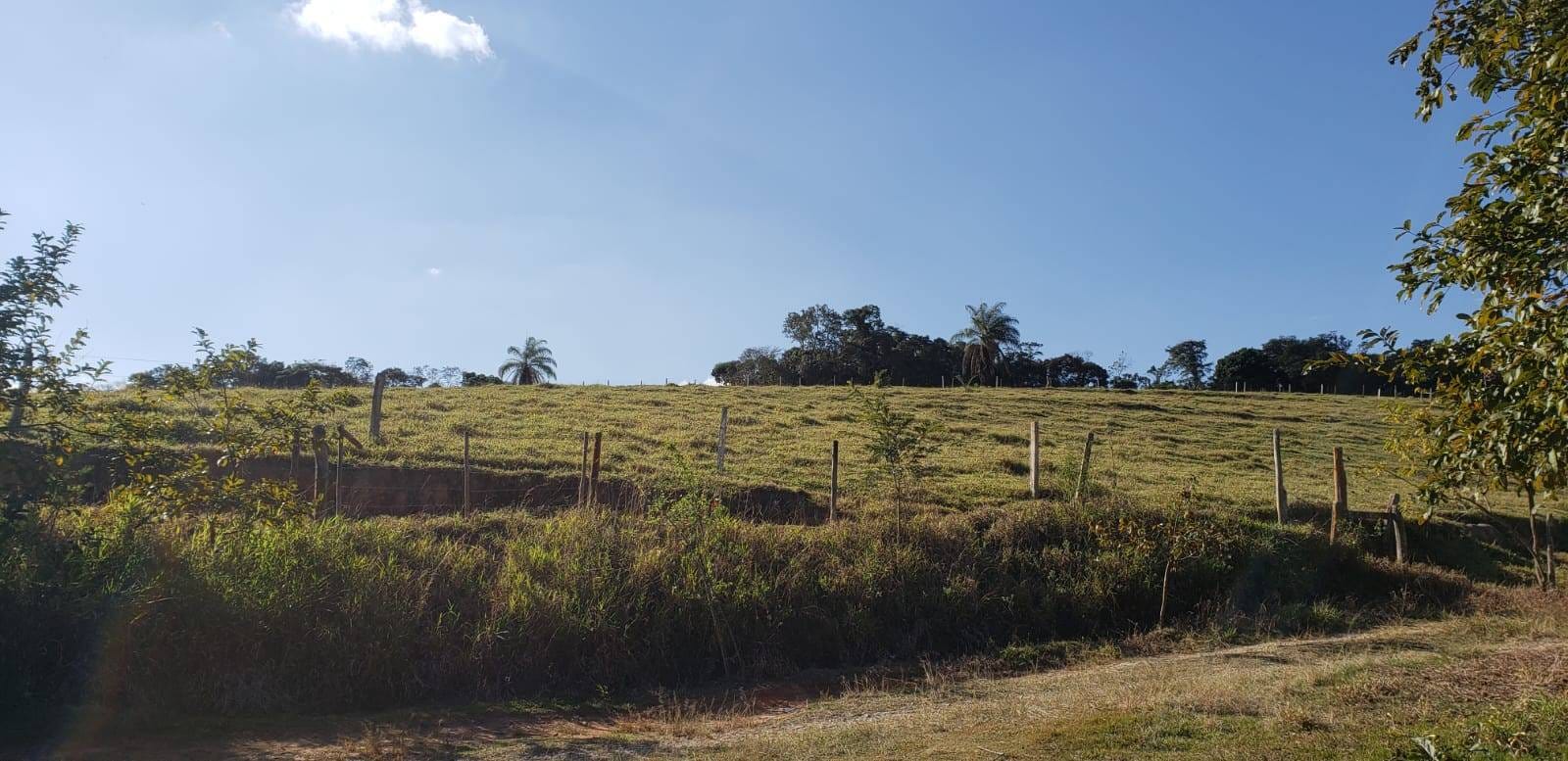 Fazenda, 25 hectares - Foto 7