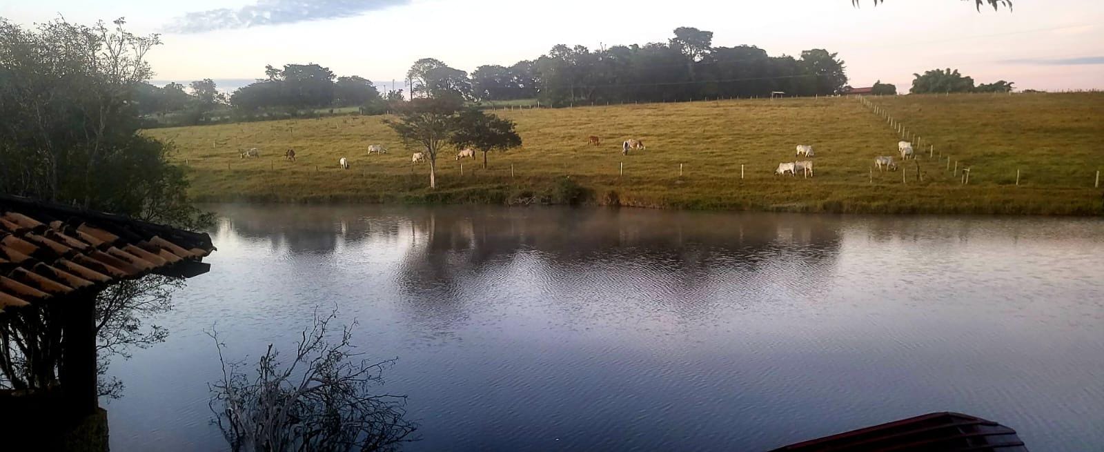 Fazenda, 25 hectares - Foto 2