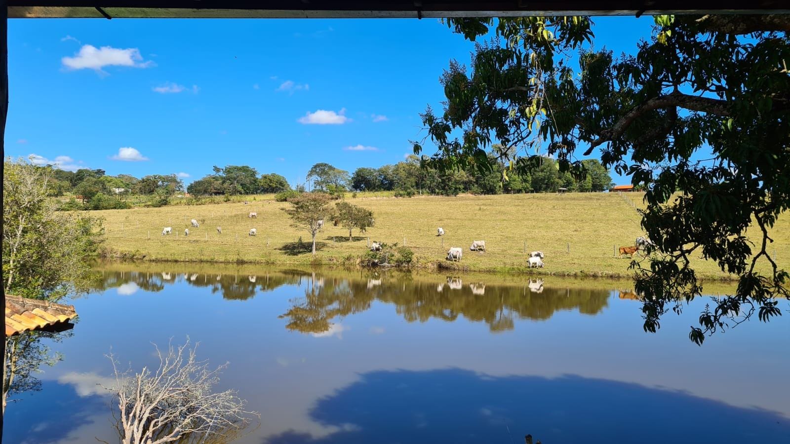 Fazenda, 25 hectares - Foto 13