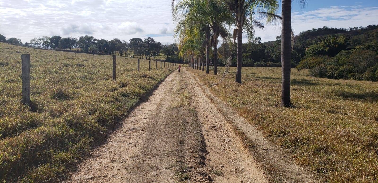 Fazenda, 25 hectares - Foto 27