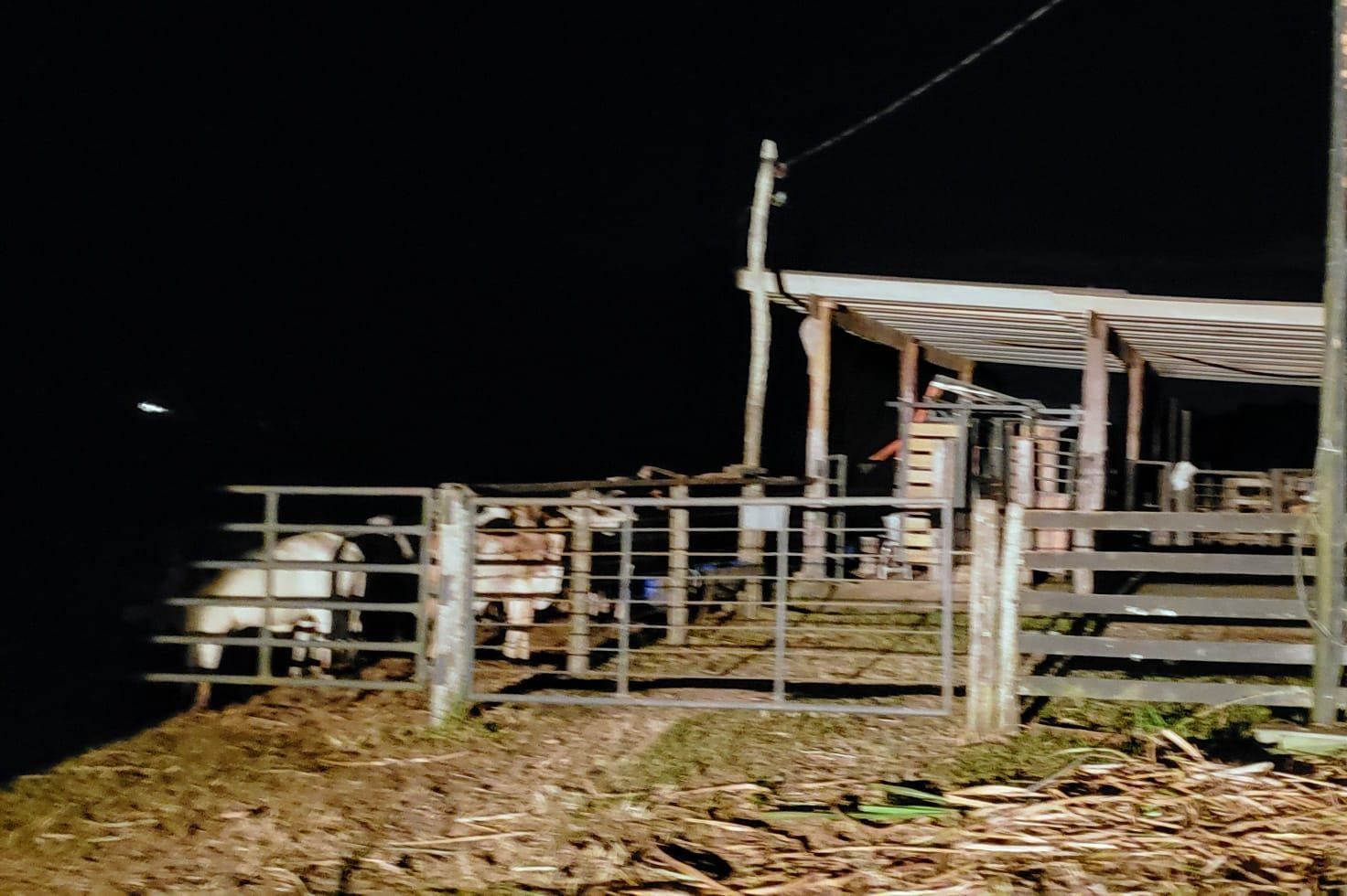 Fazenda, 25 hectares - Foto 26