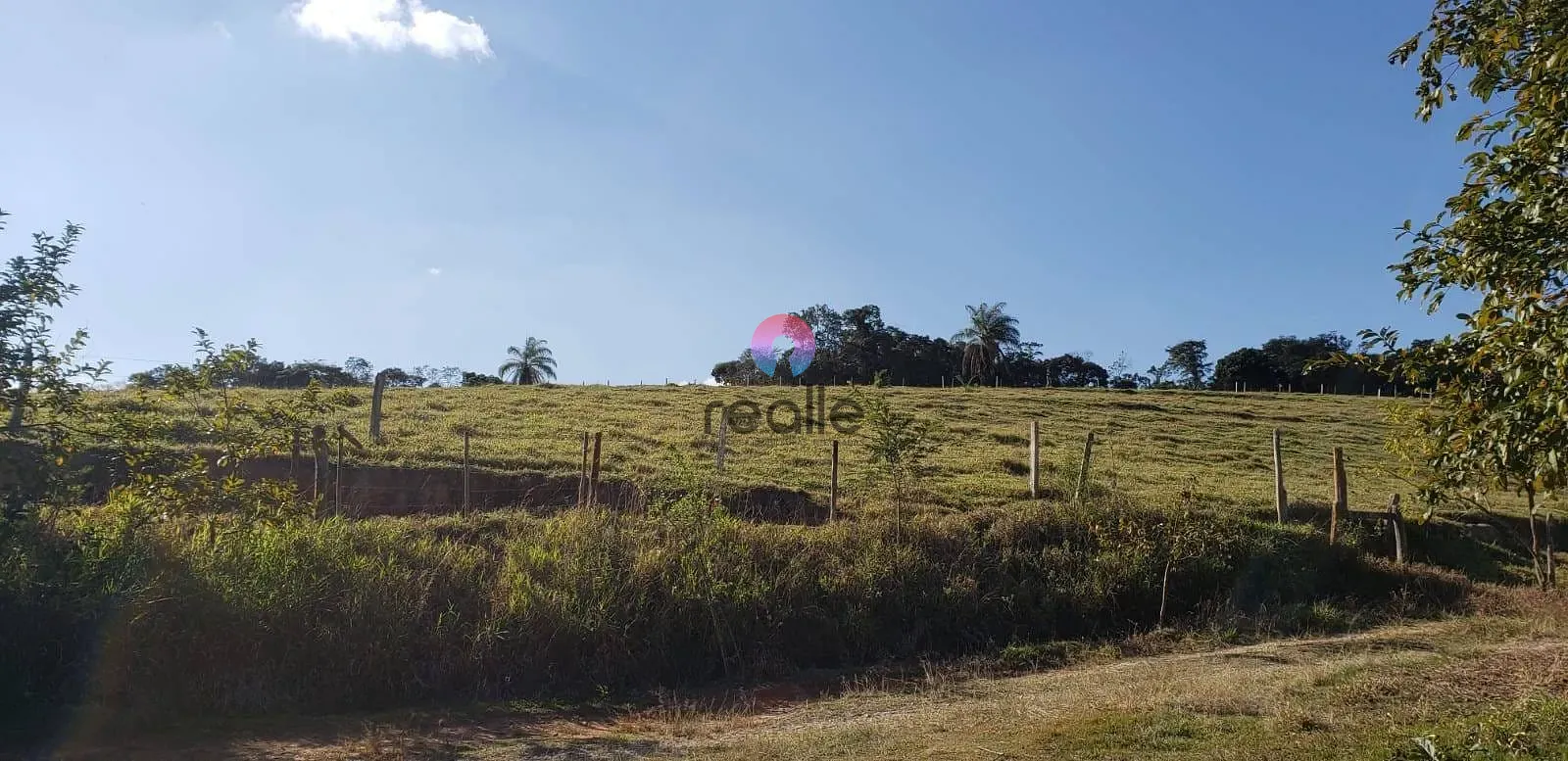 Fazenda, 25 hectares - Foto 7