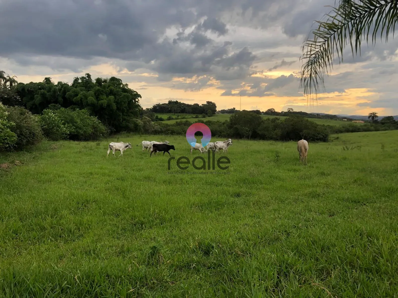 Fazenda, 25 hectares - Foto 12