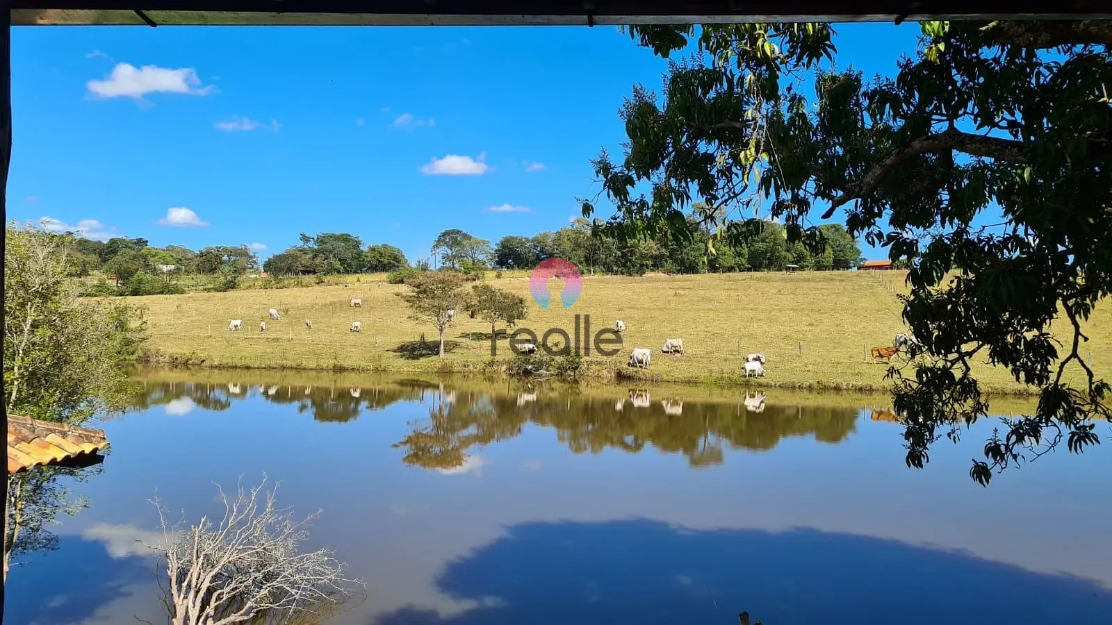 Fazenda, 25 hectares - Foto 13