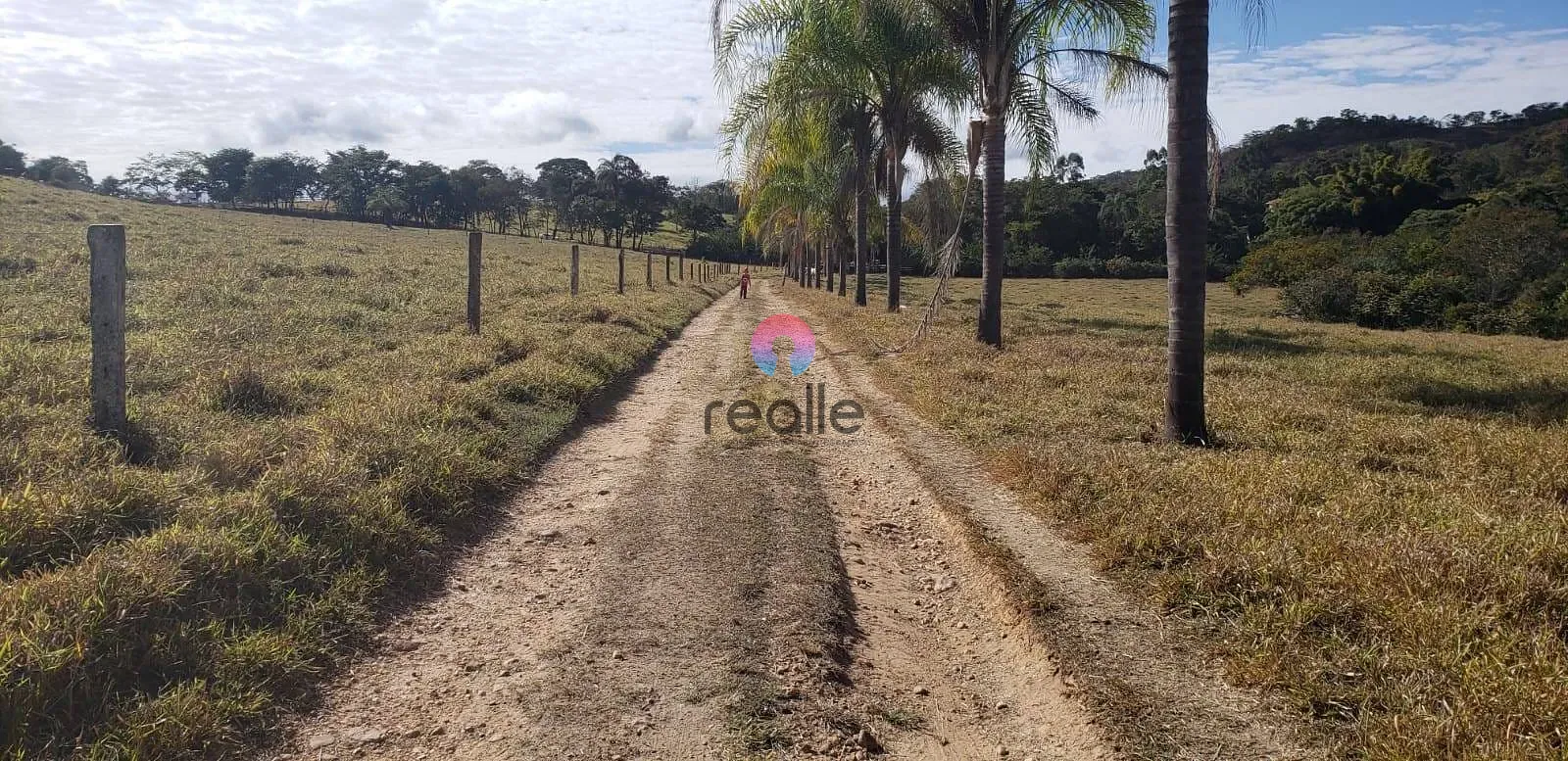 Fazenda, 25 hectares - Foto 27