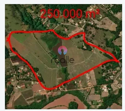 Fazenda, 25 hectares - Foto 28