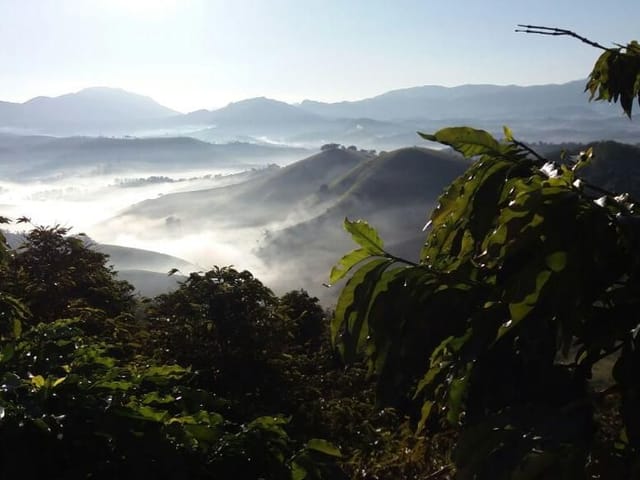 Foto do Fazenda - Fazenda à venda 5364700M², Centro, Itajubá - MG | RUSSI IMÓVEIS
