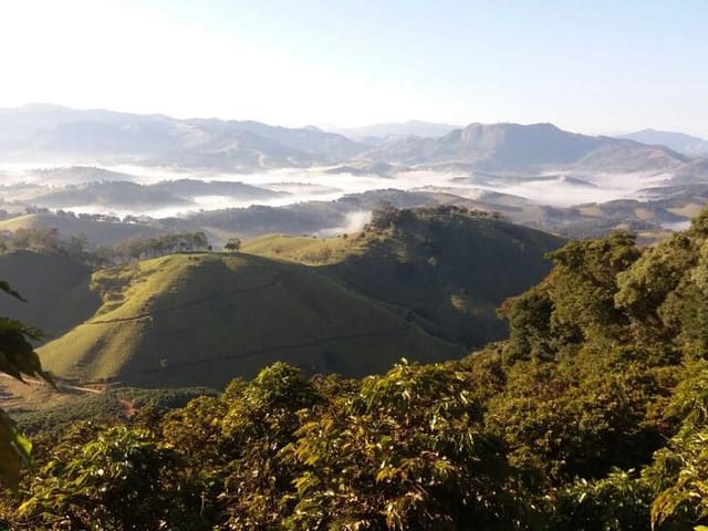 Foto do Fazenda - Fazenda à venda 5364700M², Centro, Itajubá - MG | RUSSI IMÓVEIS