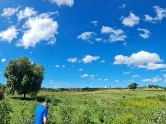 Fazenda à venda, no bairro Araruama em Araruama