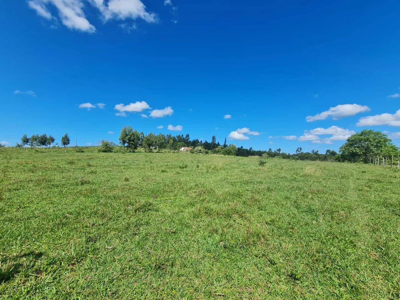 Fazenda, 10 m² - Foto 1