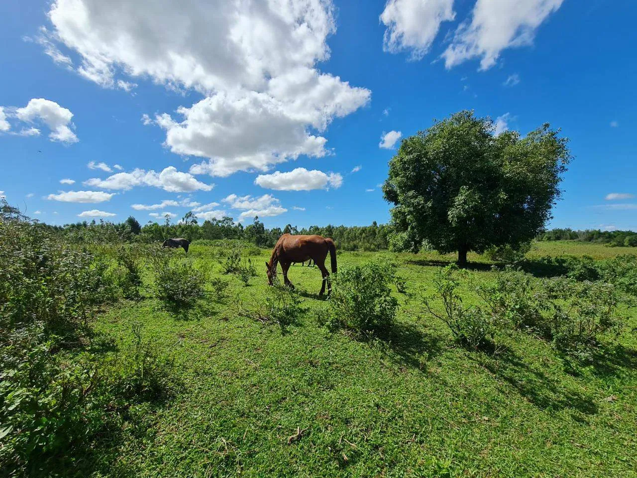 Fazenda, 10 m² - Foto 10