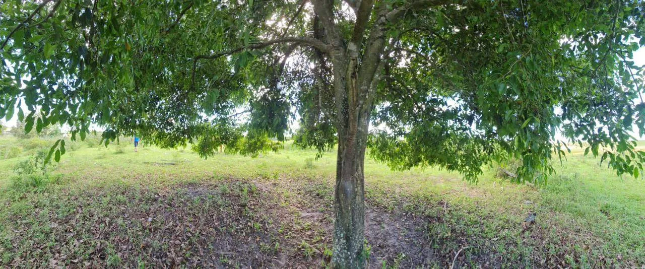 Fazenda, 10 m² - Foto 12