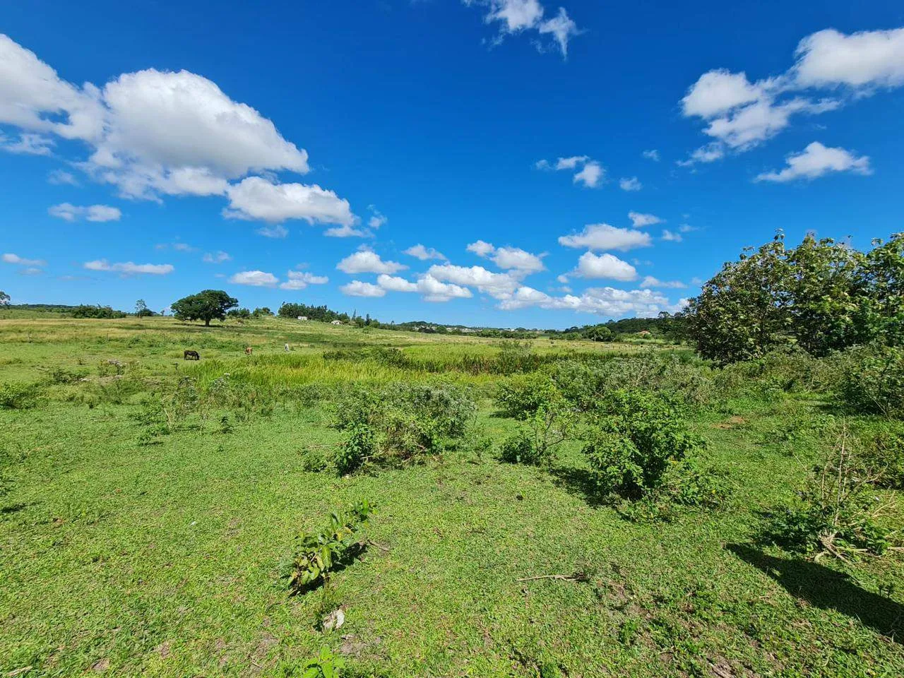 Fazenda, 10 m² - Foto 13