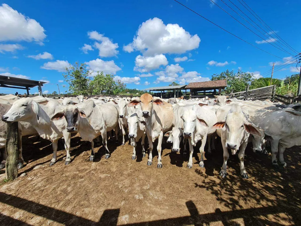 Fazenda, 10 m² - Foto 21