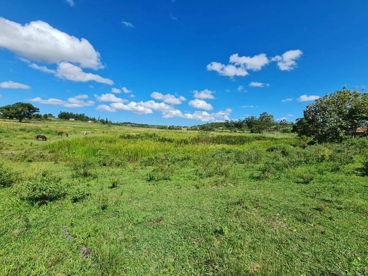 Fazenda, 10 m² - Foto 24