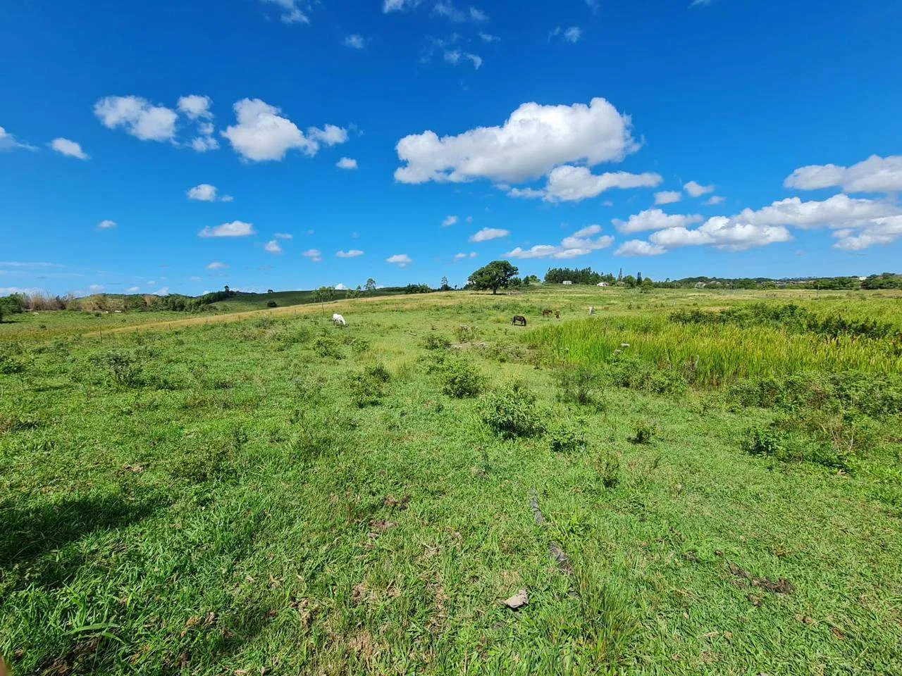 Fazenda, 10 m² - Foto 25