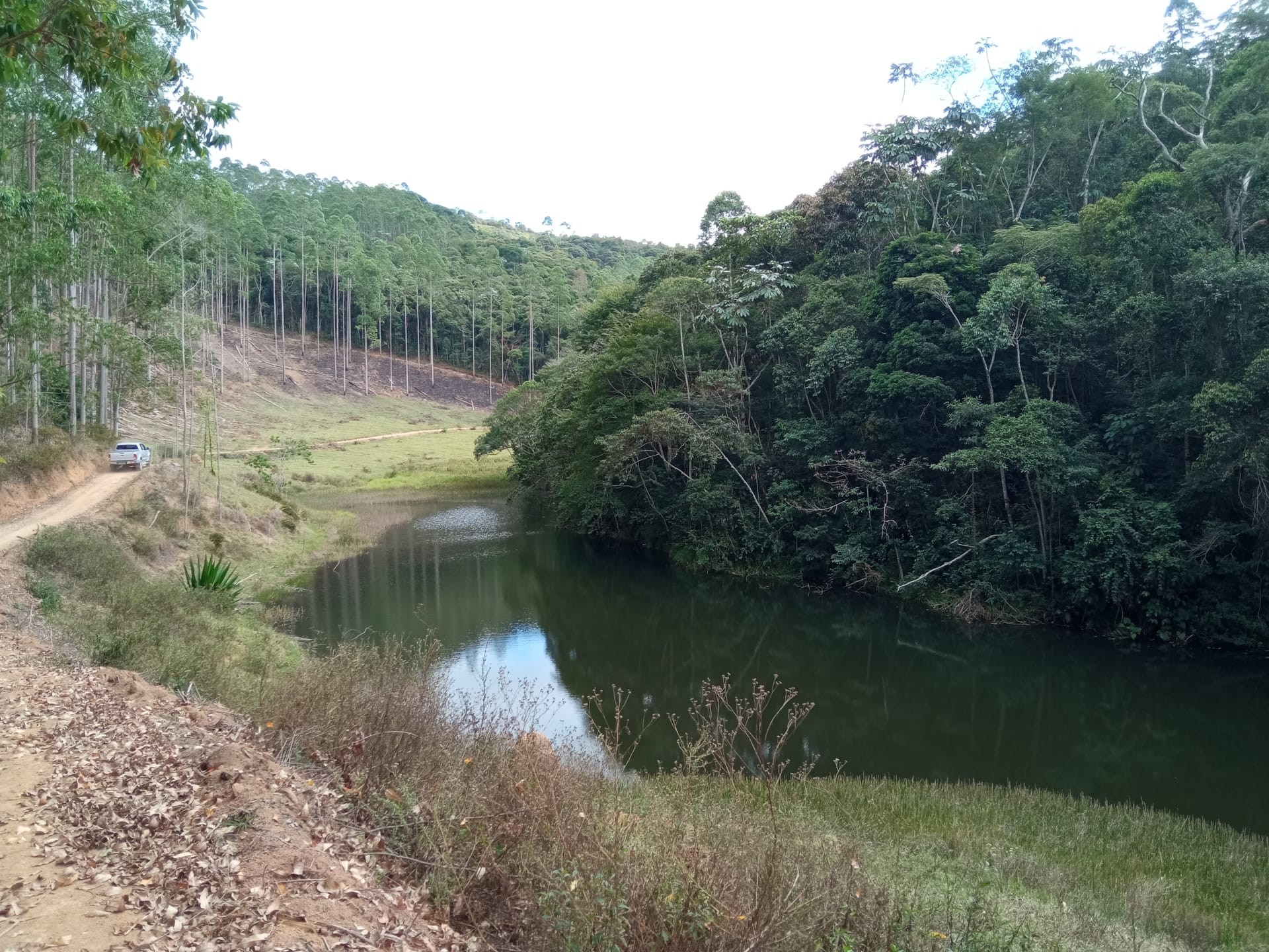 Fazenda à venda 107M², ZONA RURAL, SILVEIRÂNIA - MG - foto 28