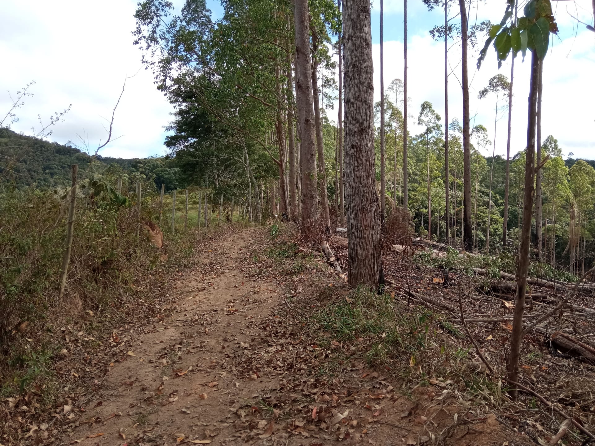 Fazenda à venda 107M², ZONA RURAL, SILVEIRÂNIA - MG - foto 47
