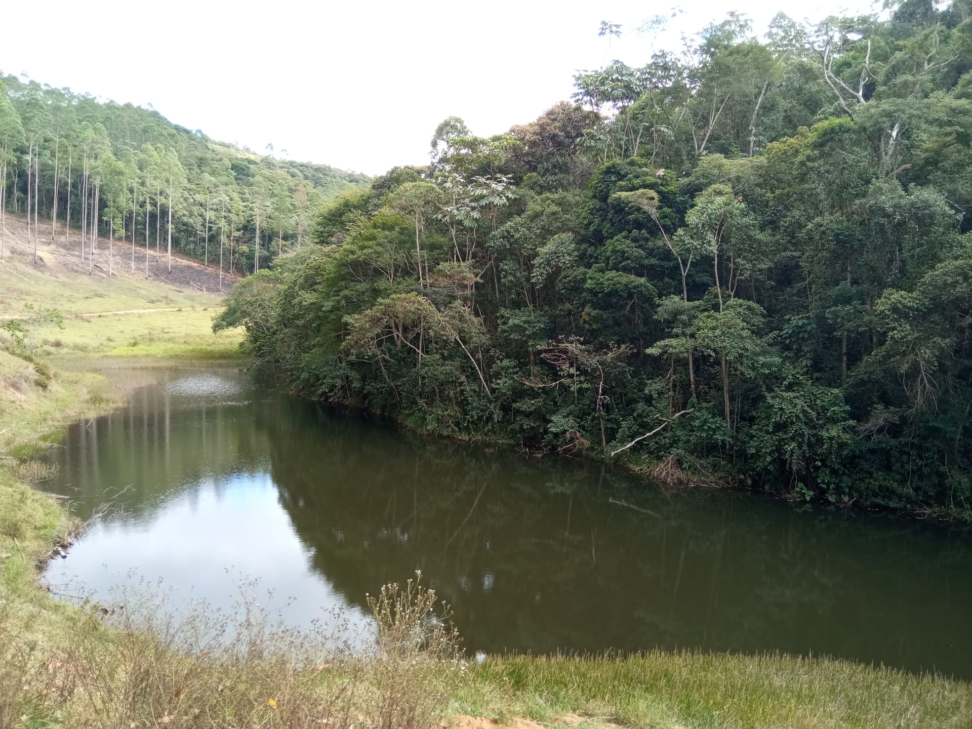 Fazenda à venda 107M², ZONA RURAL, SILVEIRÂNIA - MG - foto 27