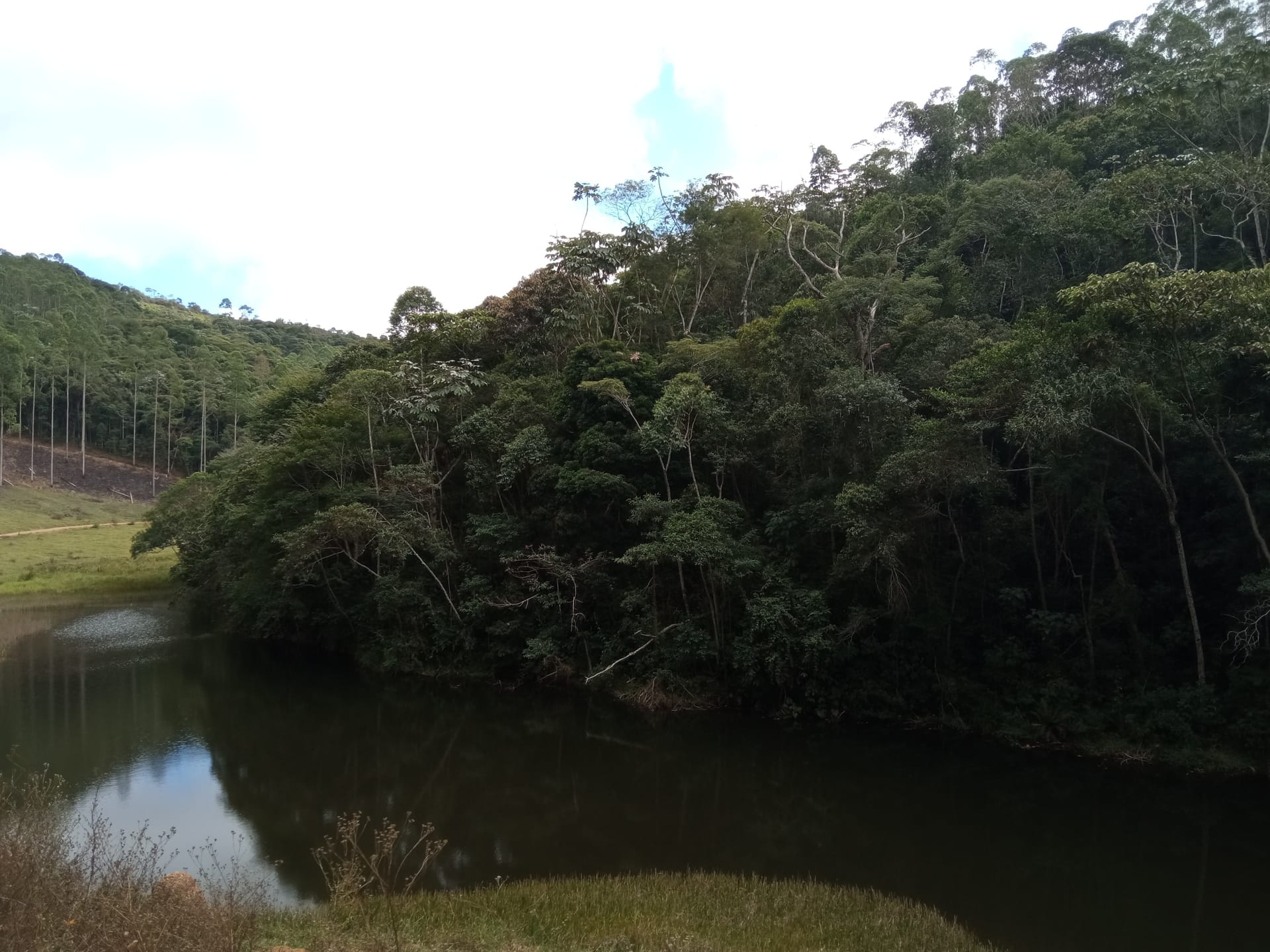 Fazenda à venda 107M², ZONA RURAL, SILVEIRÂNIA - MG - foto 30